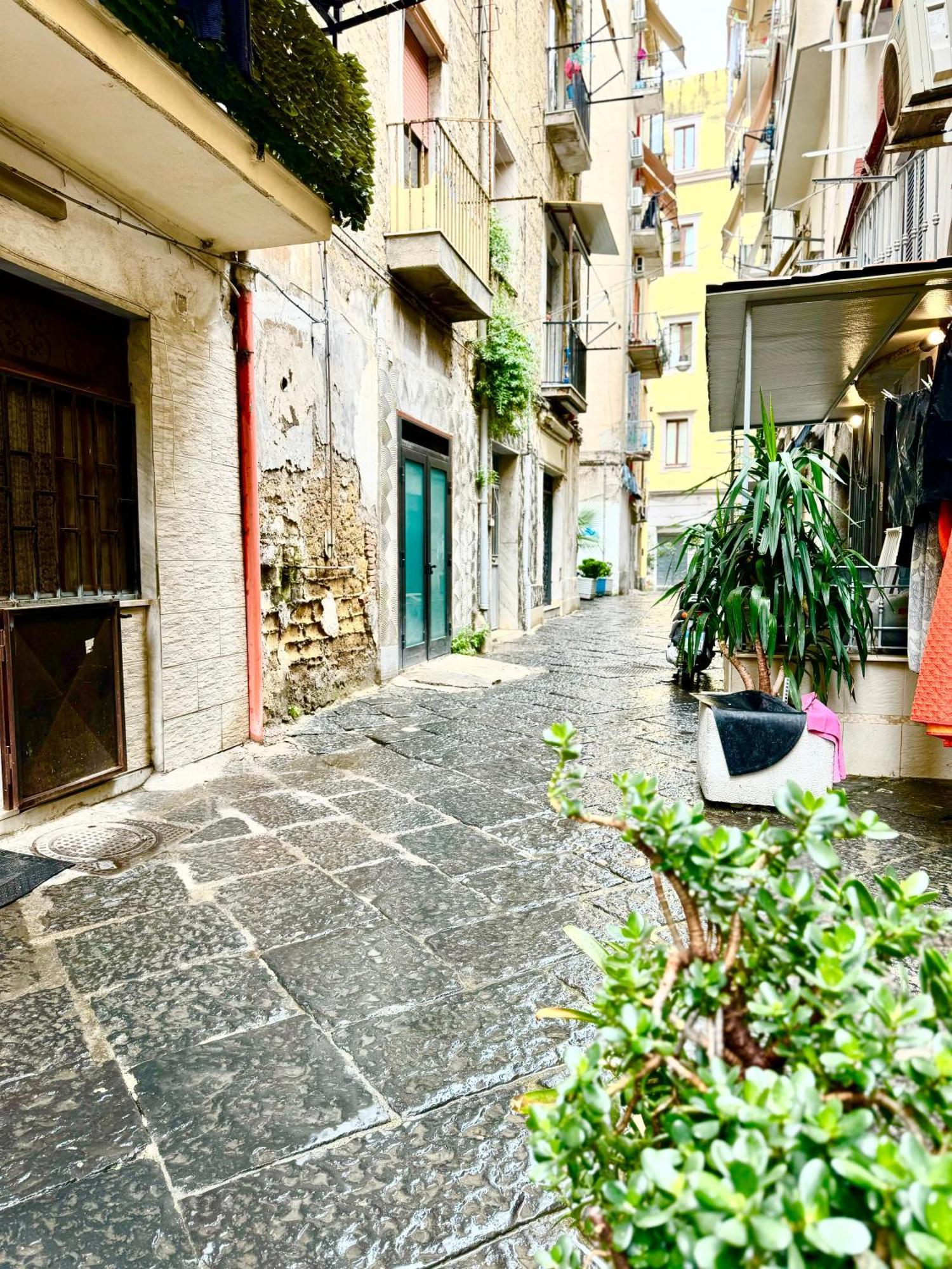 那不勒斯Vesuvius House公寓 外观 照片